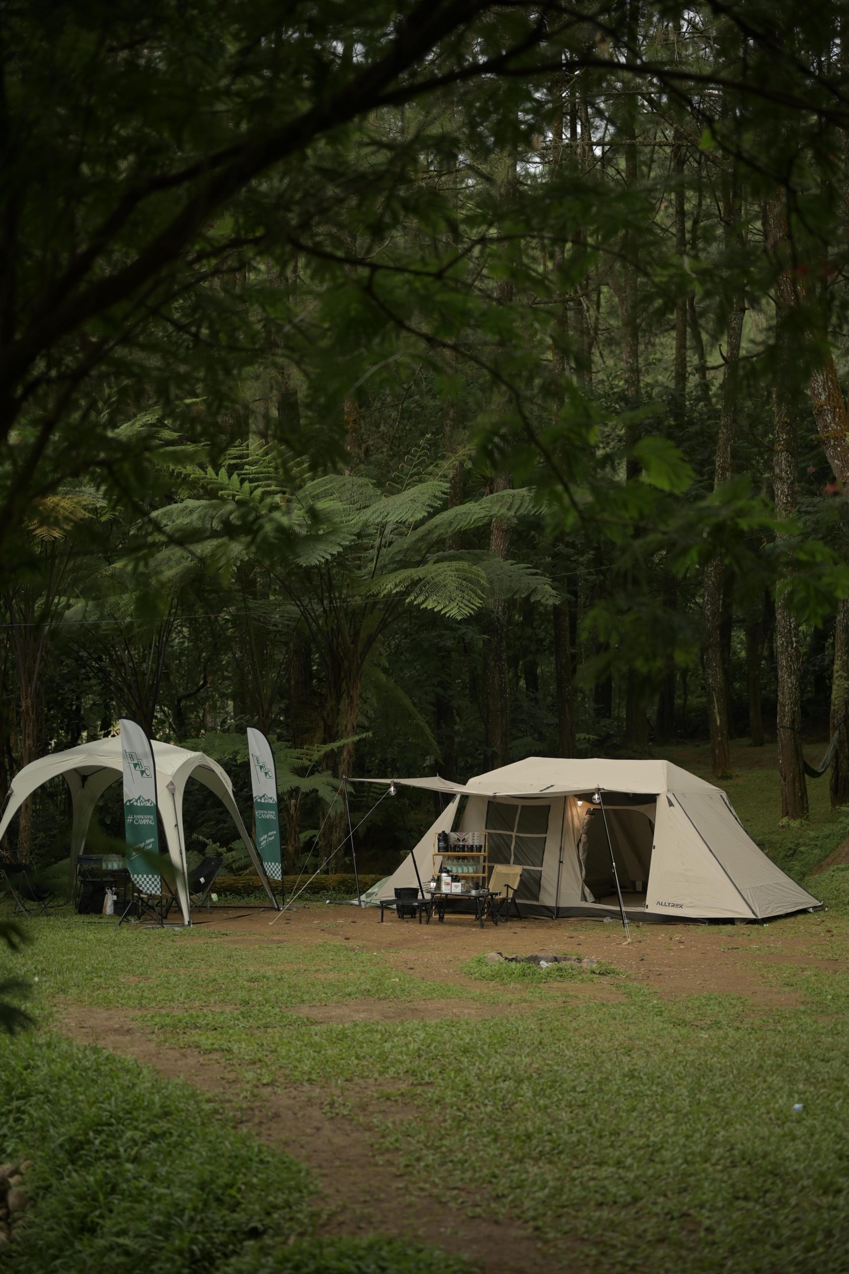 Cozy tent nestled in lush West Java forest, perfect for outdoor adventure.