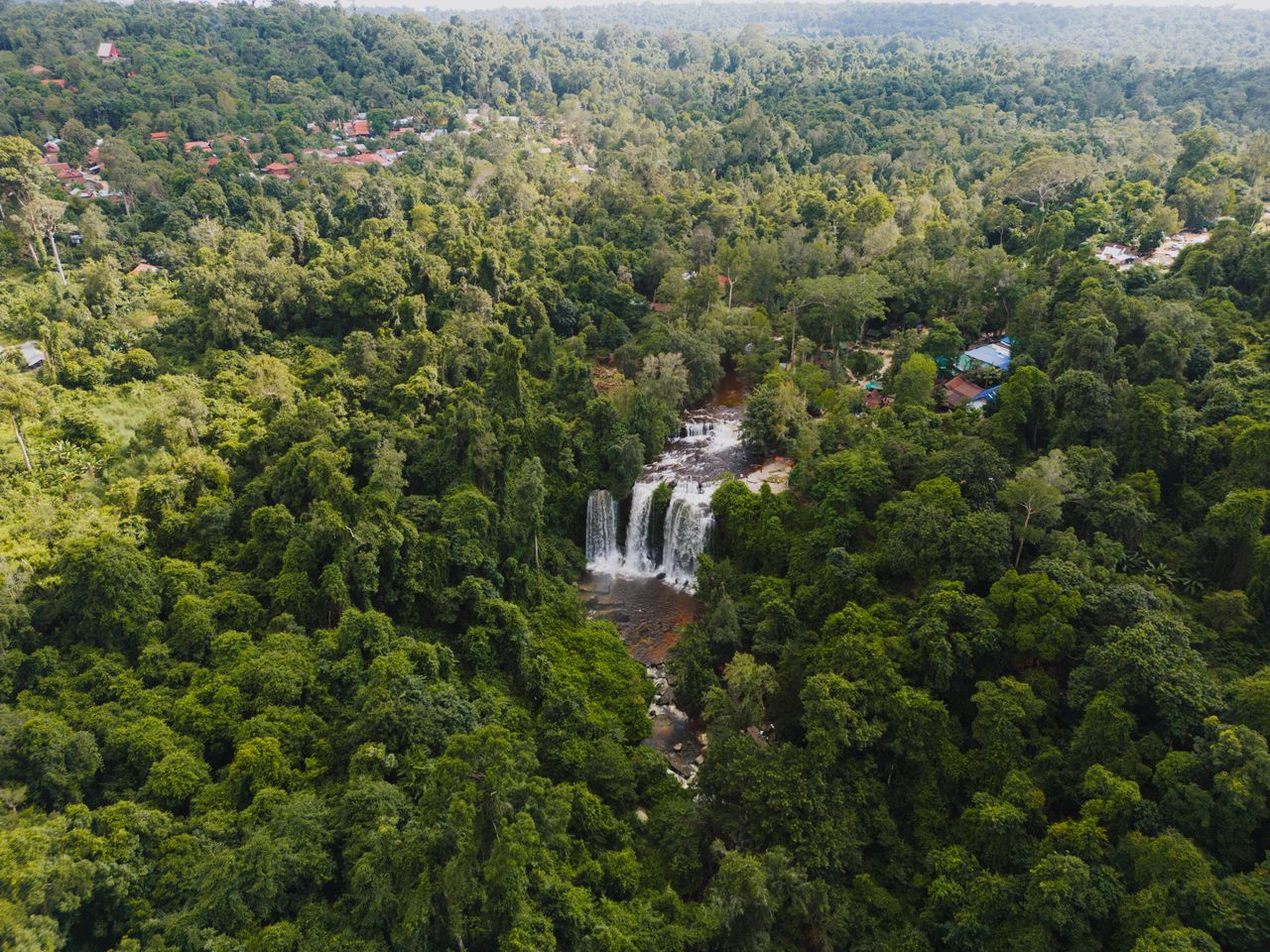 Crafting Captivating Headlines: Your awesome post title goes here Stunning aerial view of a lush green forest with flowing waterfall in Cambodia, capturing nature's beauty.