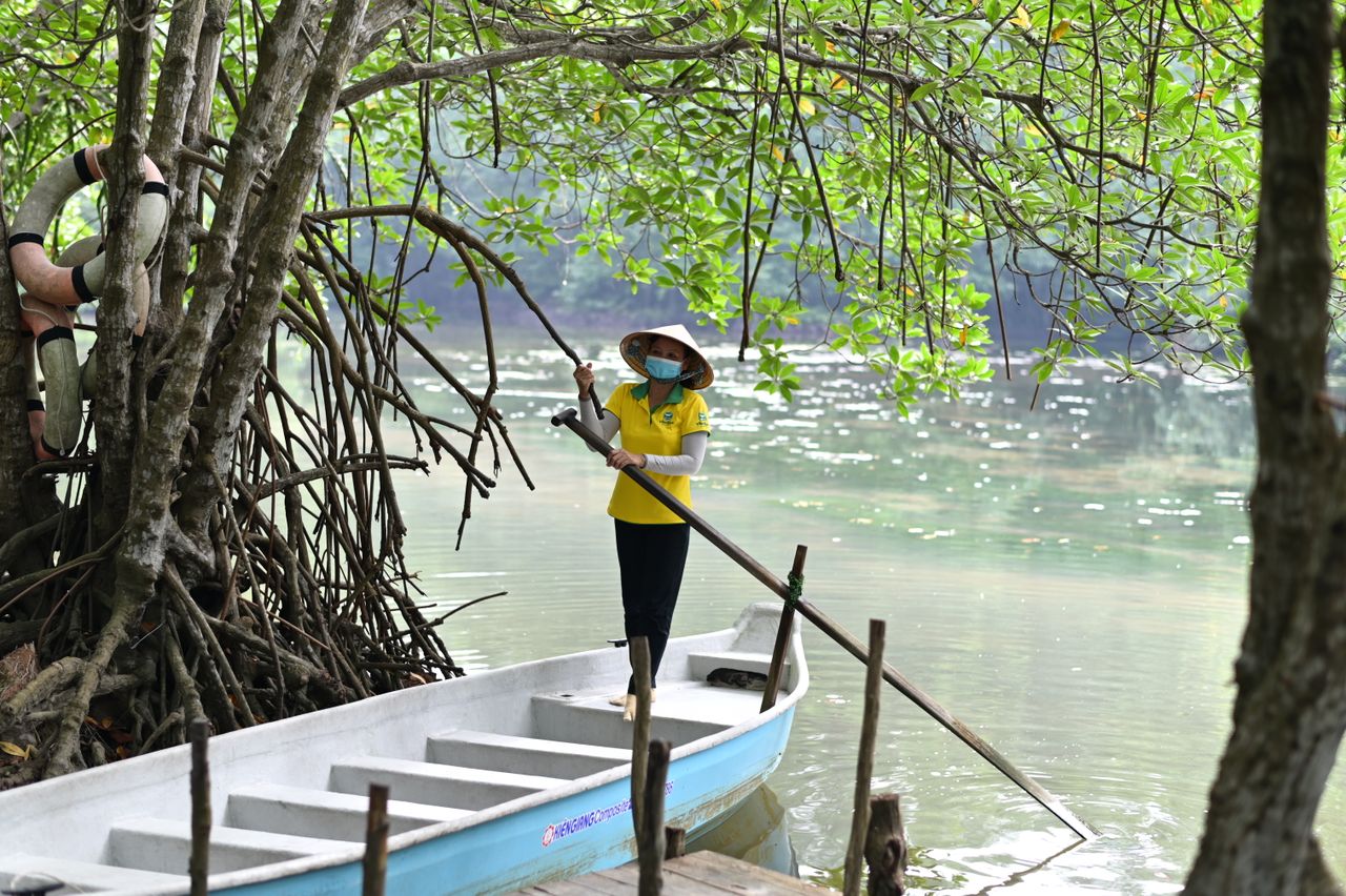 Mastering the First Impression: Your intriguing post title goes here Woman in traditional hat paddling through a tranquil mangrove forest river.