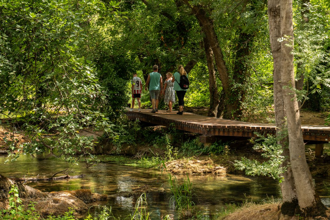 The Art of Drawing Readers In: Your attractive post title goes here A family strolls across a wooden bridge in a lush Croatian forest, reflecting summer outdoor adventure.